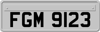 FGM9123