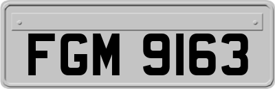 FGM9163