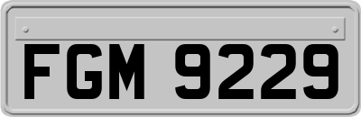 FGM9229