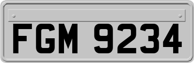 FGM9234