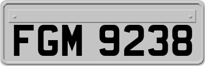FGM9238
