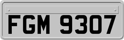FGM9307