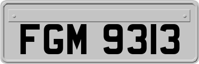 FGM9313