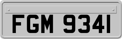 FGM9341