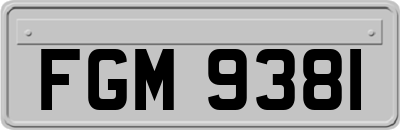 FGM9381