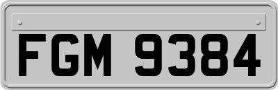 FGM9384