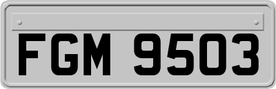 FGM9503