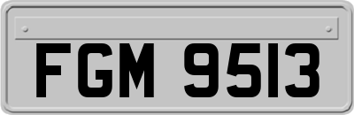FGM9513