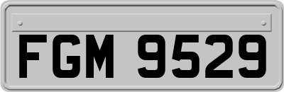 FGM9529