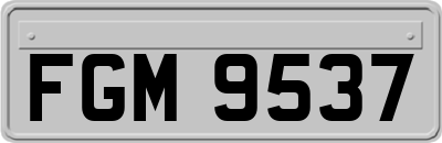 FGM9537
