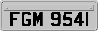 FGM9541