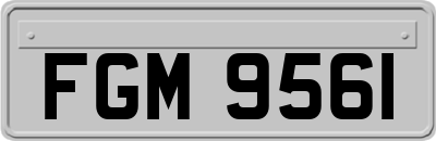 FGM9561