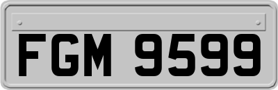 FGM9599