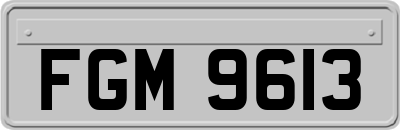FGM9613