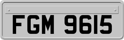 FGM9615