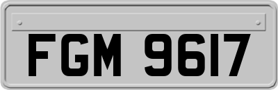 FGM9617