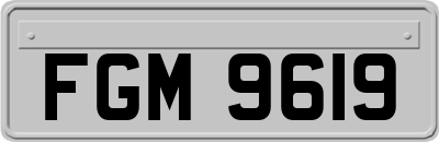FGM9619