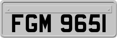 FGM9651