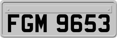 FGM9653
