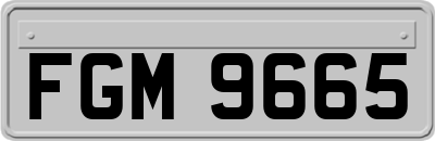 FGM9665