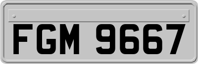 FGM9667
