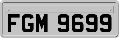 FGM9699