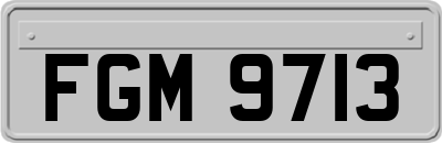 FGM9713
