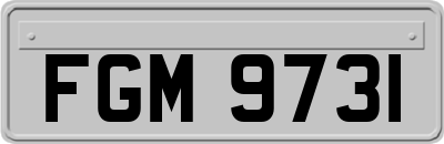 FGM9731
