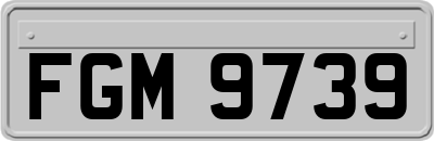 FGM9739