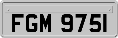 FGM9751