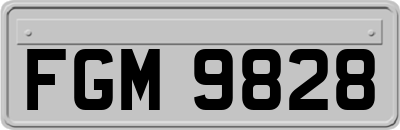 FGM9828