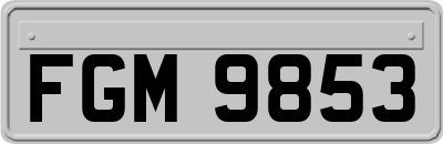 FGM9853
