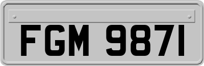 FGM9871