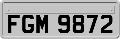 FGM9872