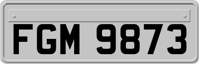 FGM9873