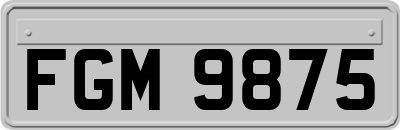 FGM9875
