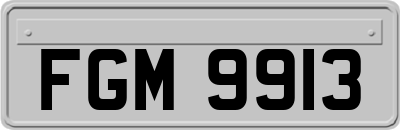 FGM9913