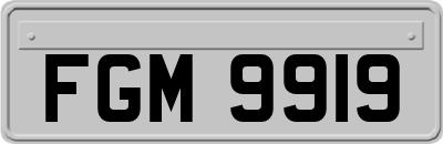 FGM9919
