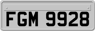 FGM9928