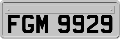 FGM9929