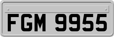 FGM9955