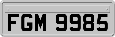 FGM9985