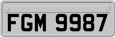 FGM9987
