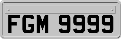 FGM9999
