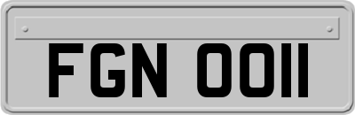 FGN0011