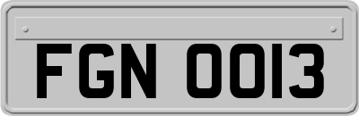 FGN0013