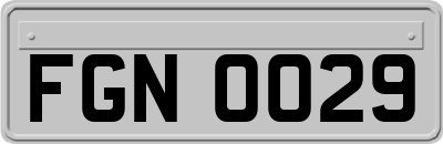 FGN0029