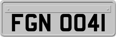FGN0041