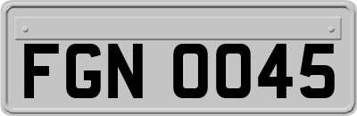 FGN0045