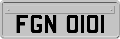 FGN0101